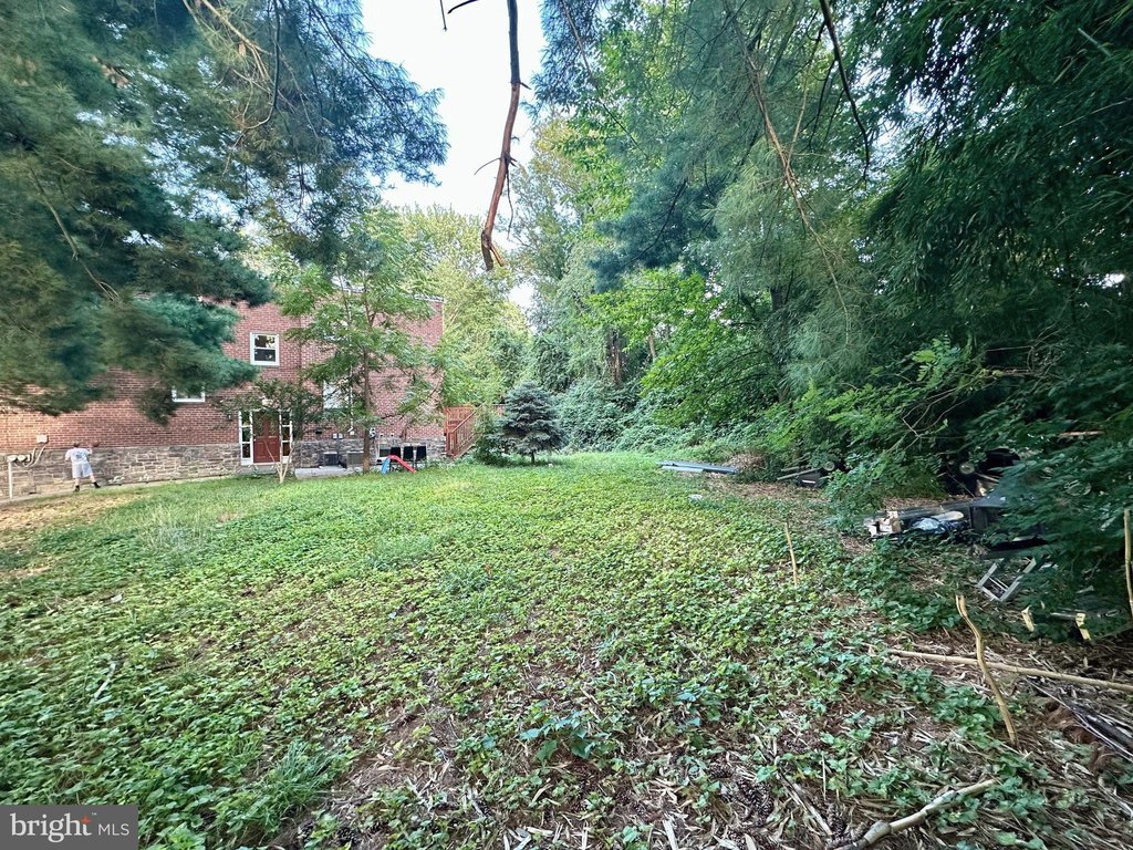 Picture 9