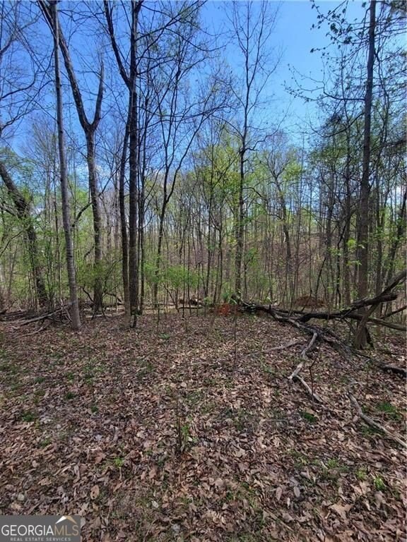 Picture 3