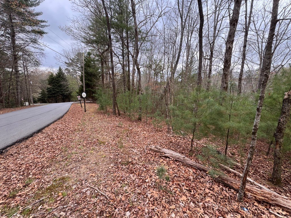 Picture 20