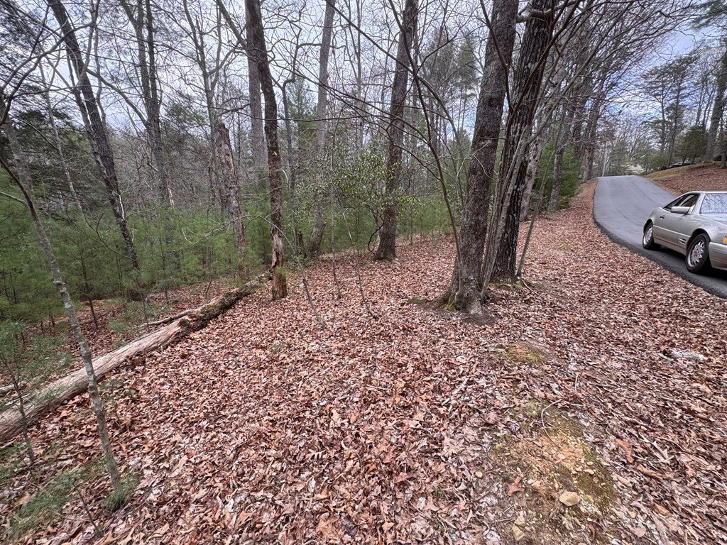 Picture 18