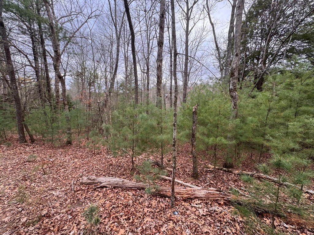 Picture 19
