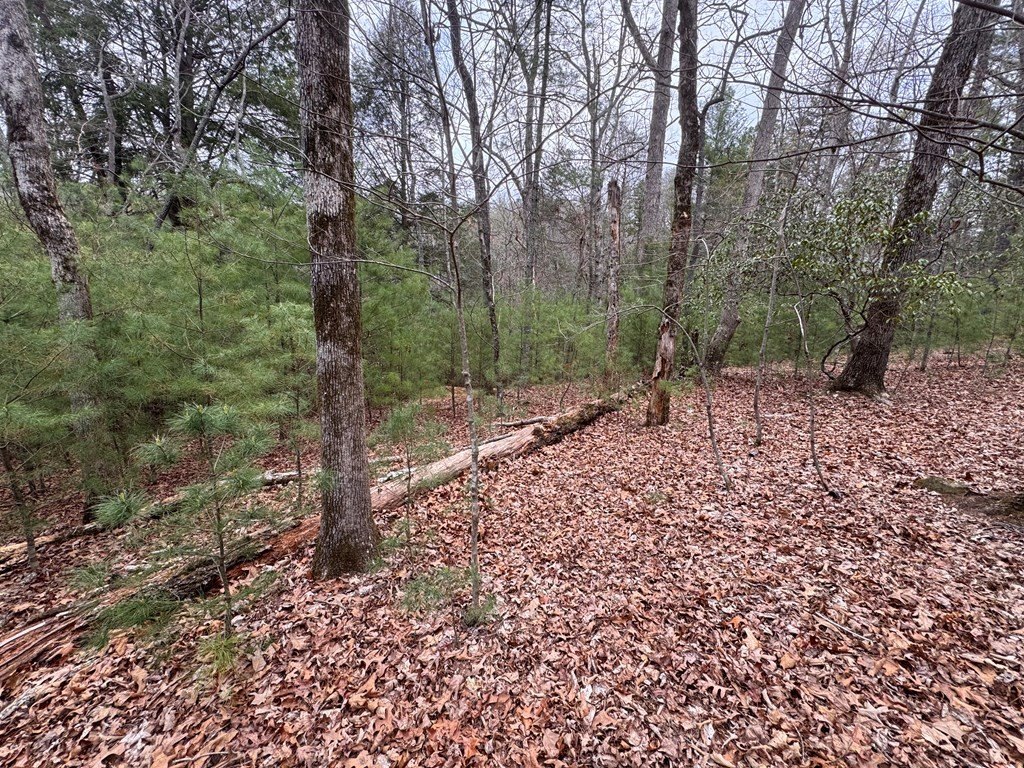 Picture 17