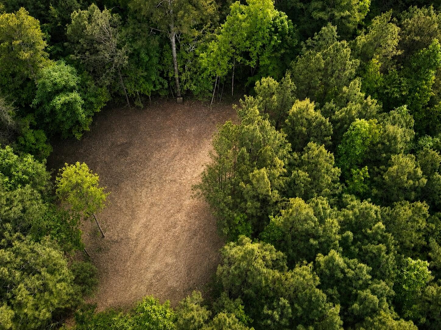 Unrestricted Land in Bradley County