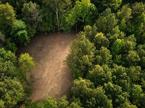 Unrestricted Land in Bradley County
