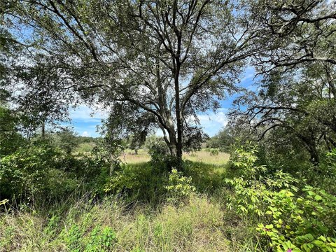 Land, HUDSON, FL