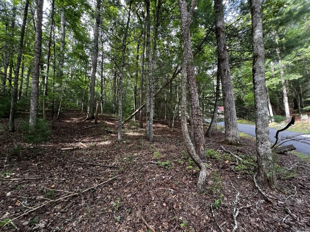 Picture 14