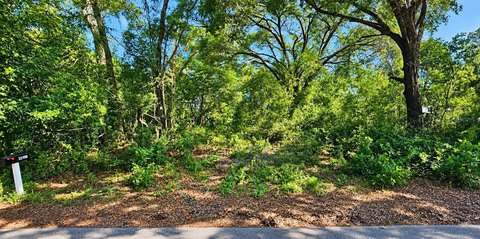 Land, DADE CITY, FL