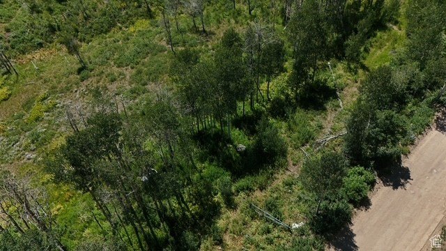 Picture 7