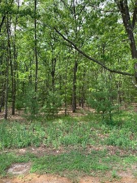 Wooded Lot Near White Lake