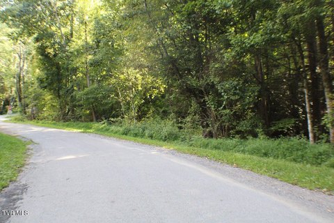 Wooded Lot in Mountain City