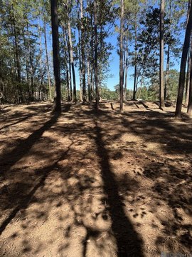 Two Acre Wooded Land Parcel