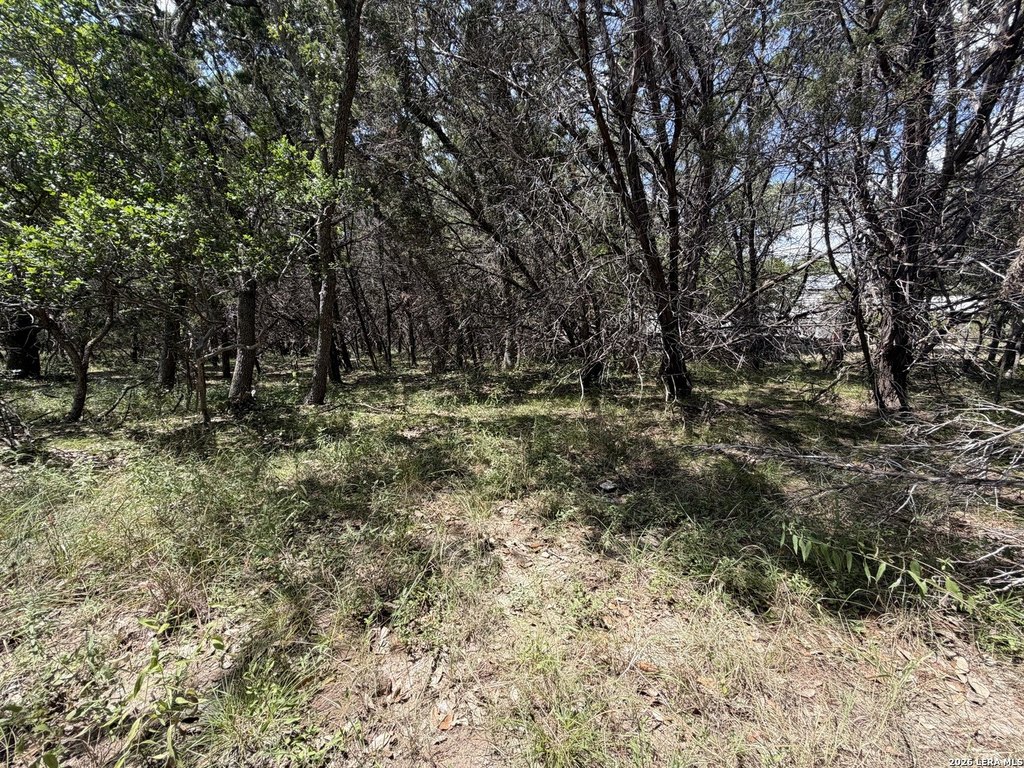 Picture 20