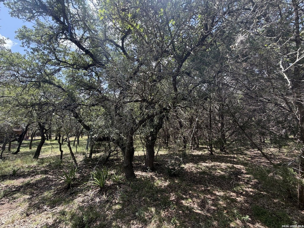 Picture 22