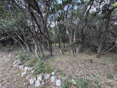 Land, Bulverde, TX