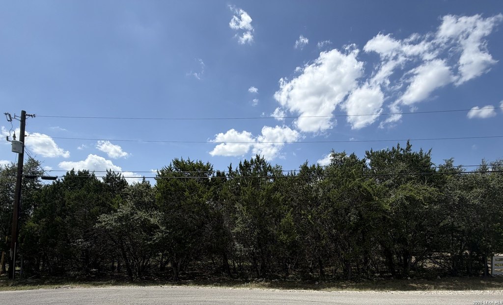 Picture 36