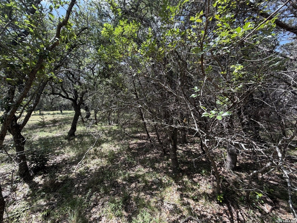 Picture 28