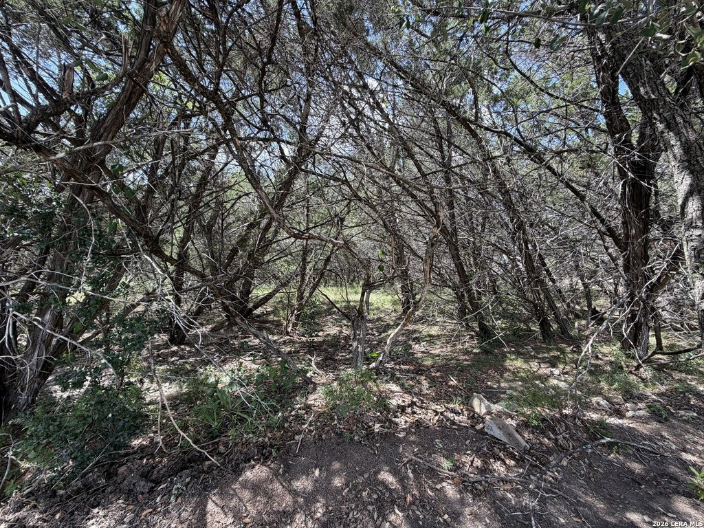 Picture 39