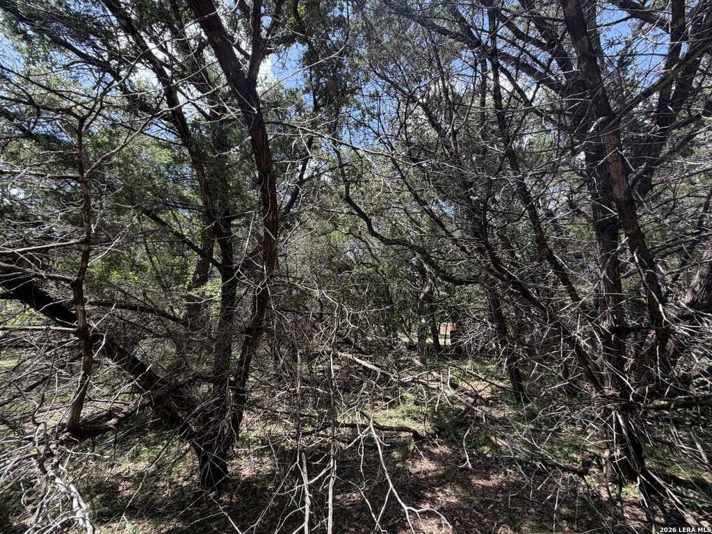 Picture 29