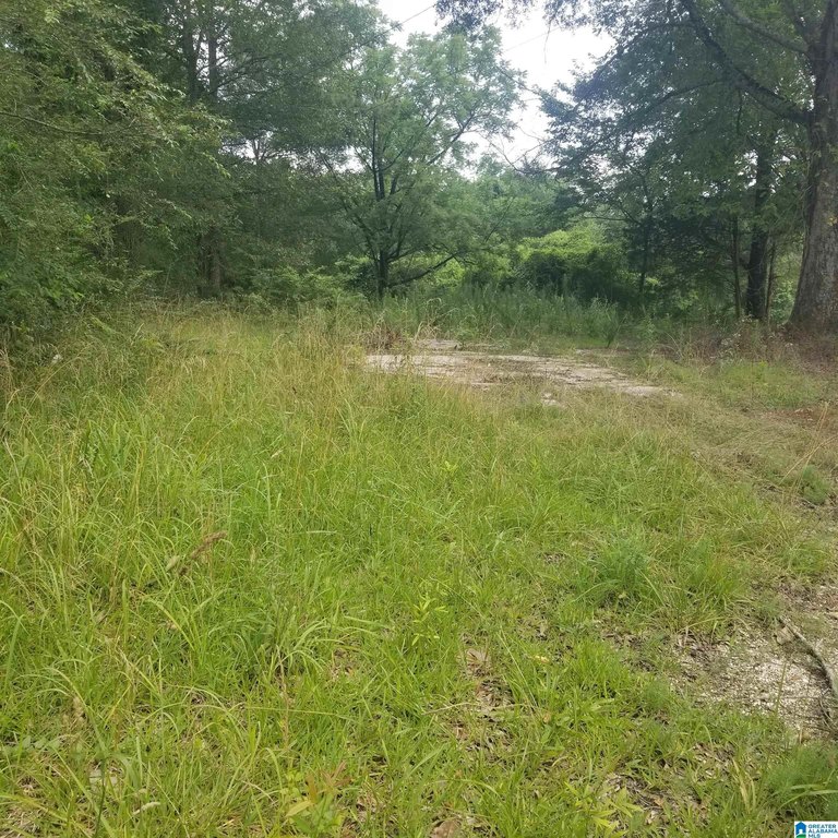 Picture 20
