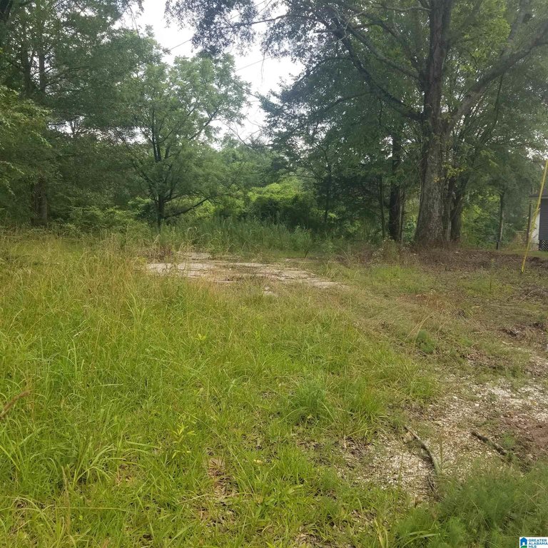 Picture 19
