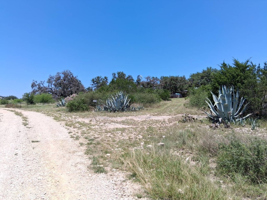 Picture 25
