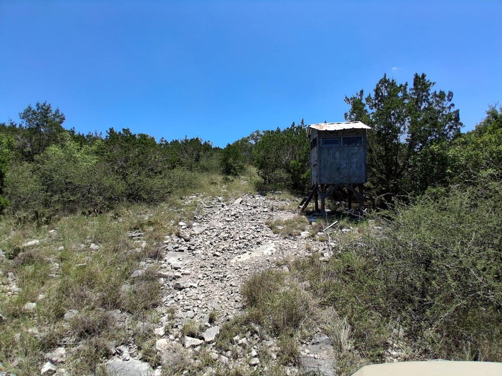 Picture 23
