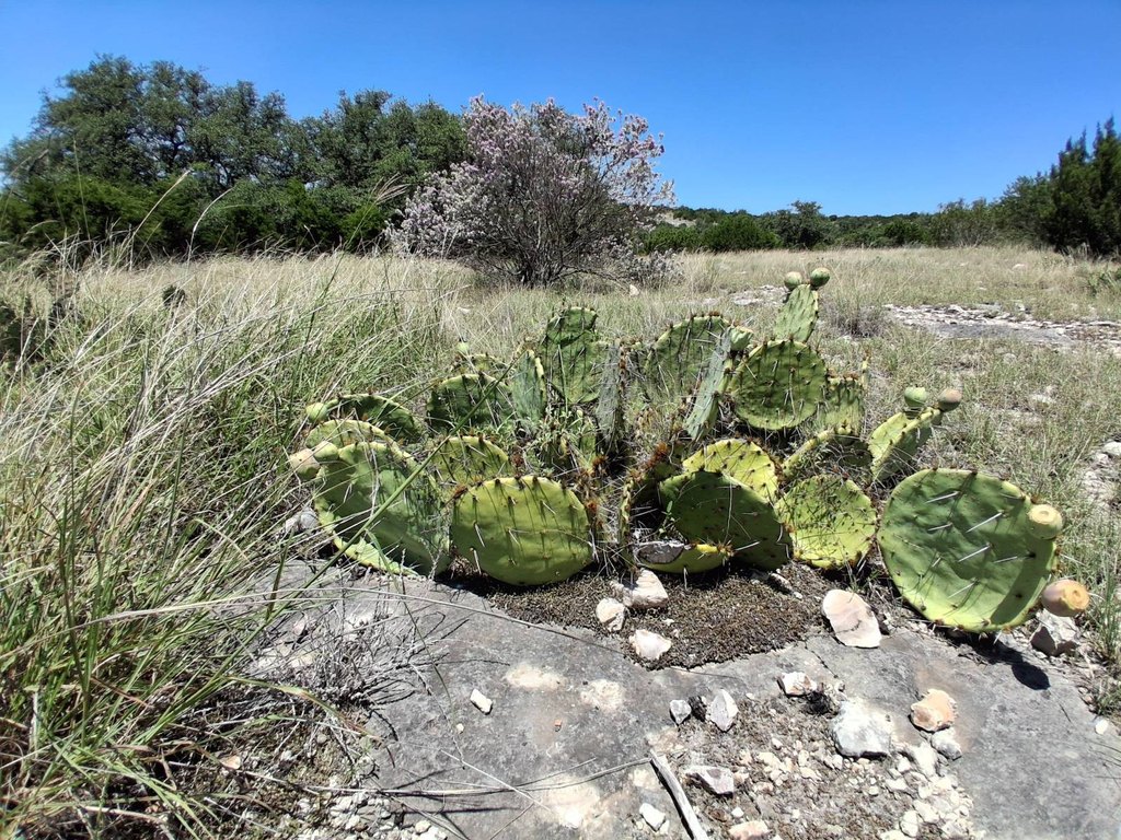 Picture 24
