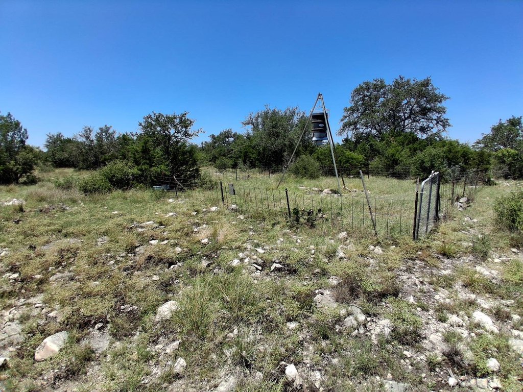 Picture 18