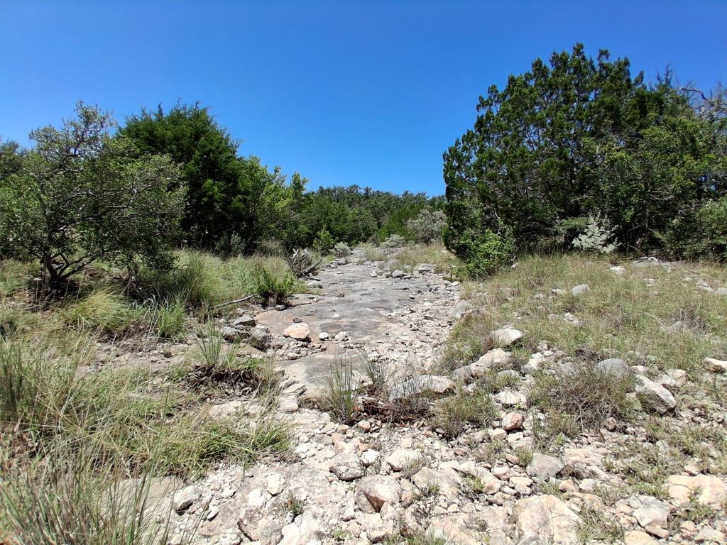 Picture 13