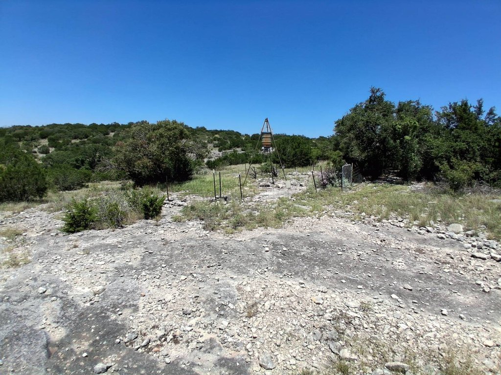 Picture 21