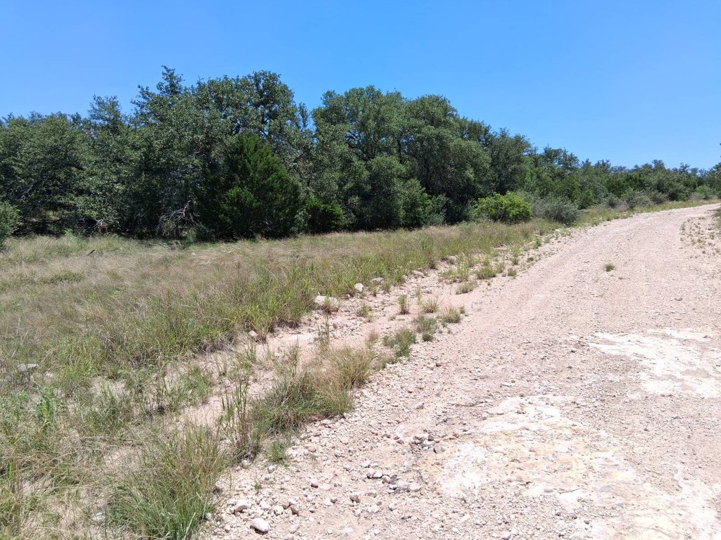 Picture 14