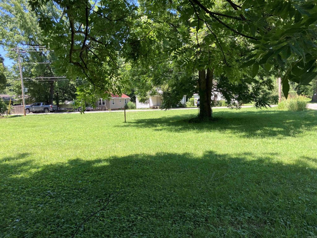 Picture 4