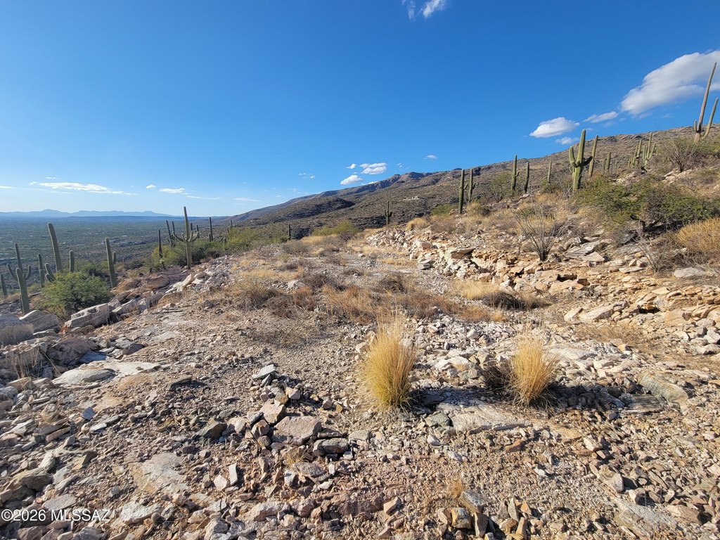 Picture 30