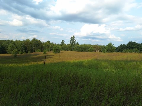 LAND - Leroy, MI