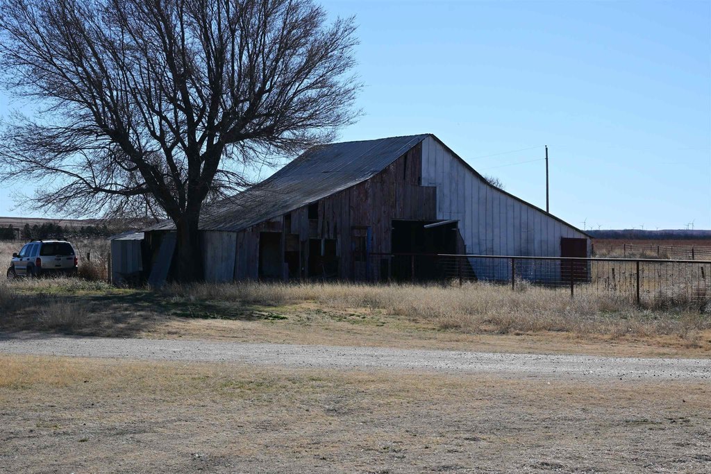 Picture 19