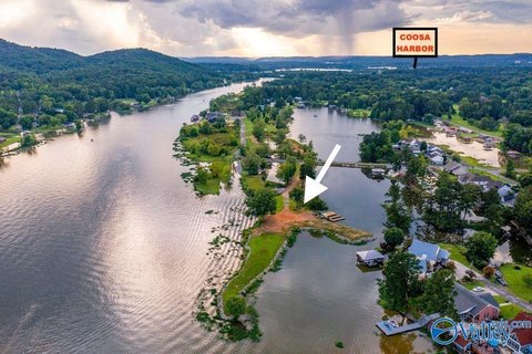 Waterfront Peninsula Land on Coosa