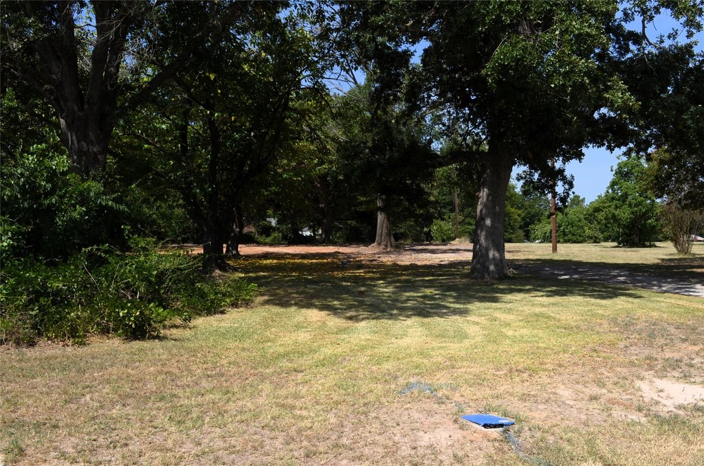 Picture 18