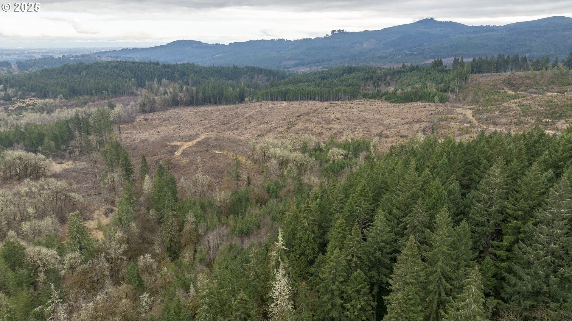 100+ Acre Land Parcel