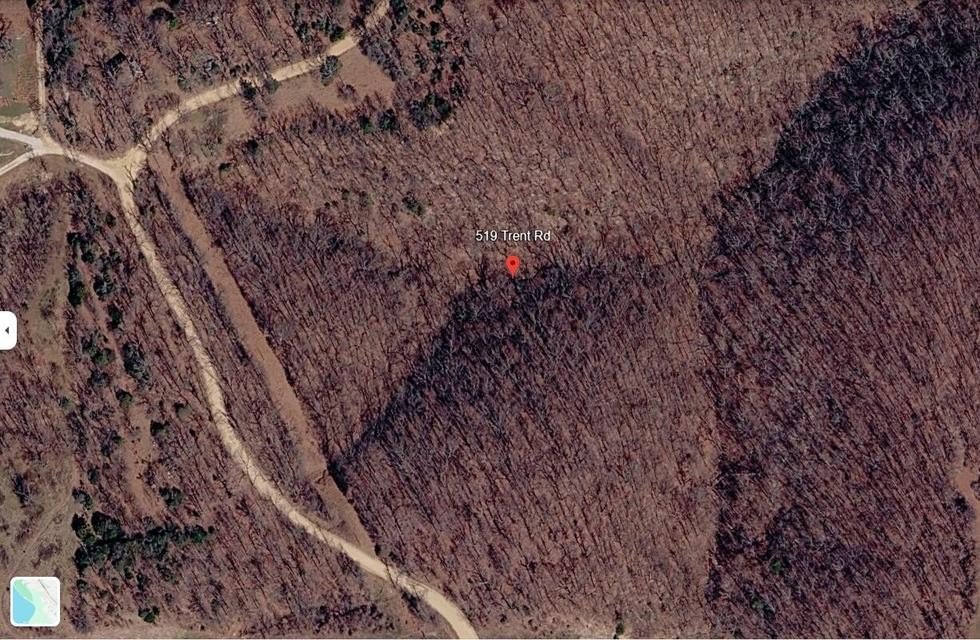 Picture 3