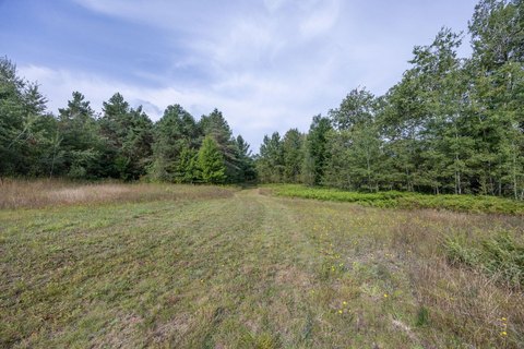 Land, Cadillac, MI