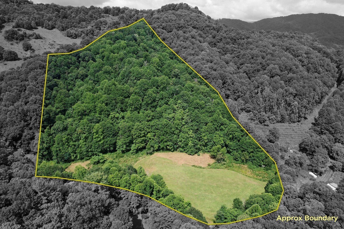 Vacant Land - Marshall, NC