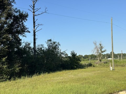 25 Acres in DeFuniak Springs