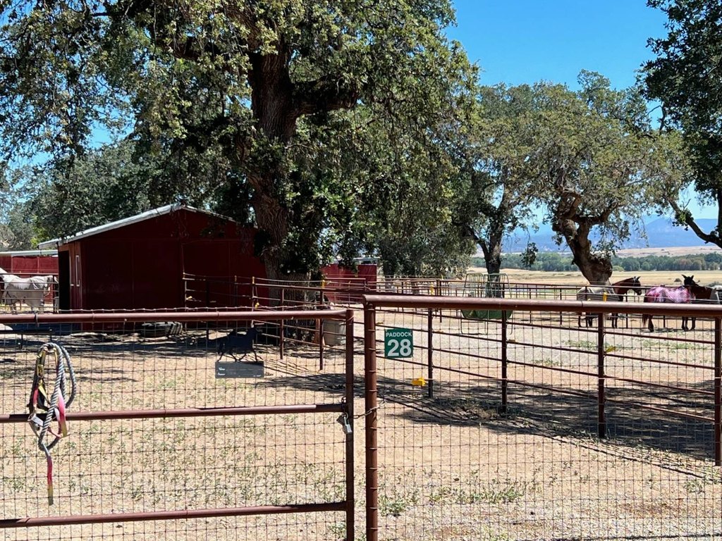 Picture 5