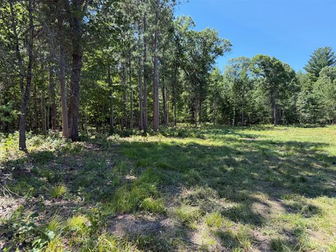 Cleared Land in Siren, WI