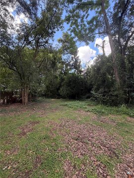 Land, MOUNT DORA, FL