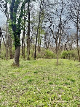 Land, Burlington, KY