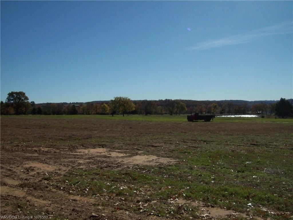 Picture 4