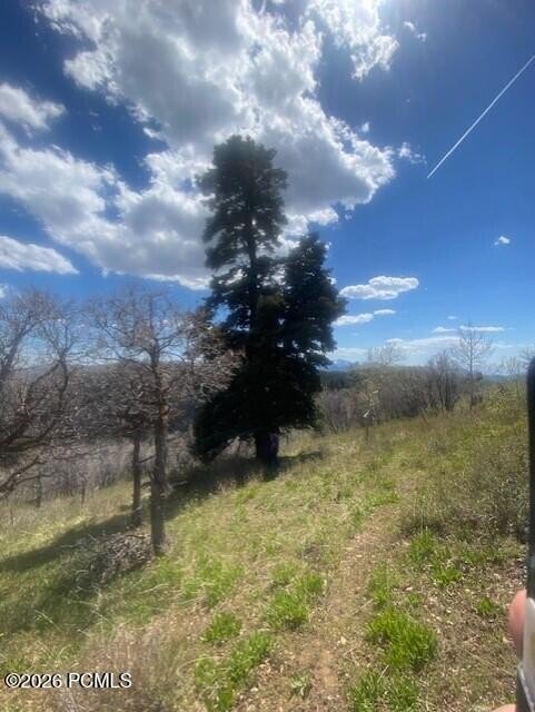 Picture 19
