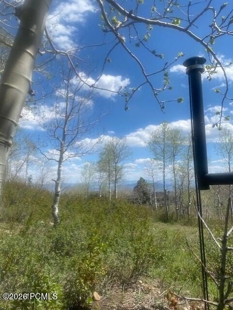 Picture 8