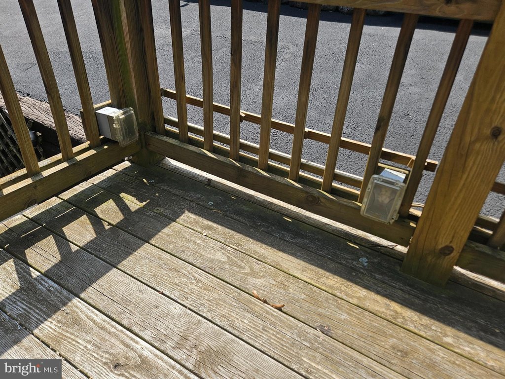 Picture 16